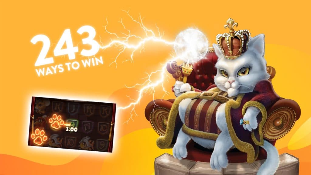 Cat Kingdom slot with king cat character and 243 ways to win