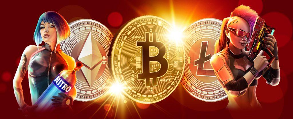 What Cryptocurrencies Do We Accept?