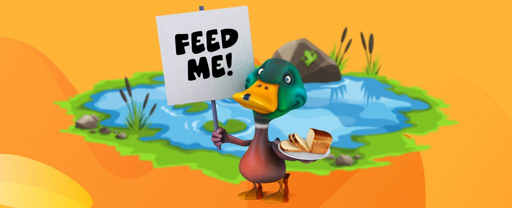 Seekor bebek animasi 3D berdiri di samping kolam, mengangkat plakat bertuliskan “beri makan saya!”, sambil memegang sepiring roti di sisi lainnya.
