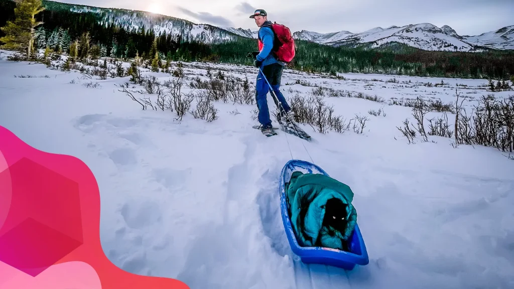 he black cat, Simon “backpackingkitty” sits in a teal blanket on a blue sled, as he’s being pulled over a snowy terrain by his owner, JJ Yosh, who wears a winter snowshoeing outfit.