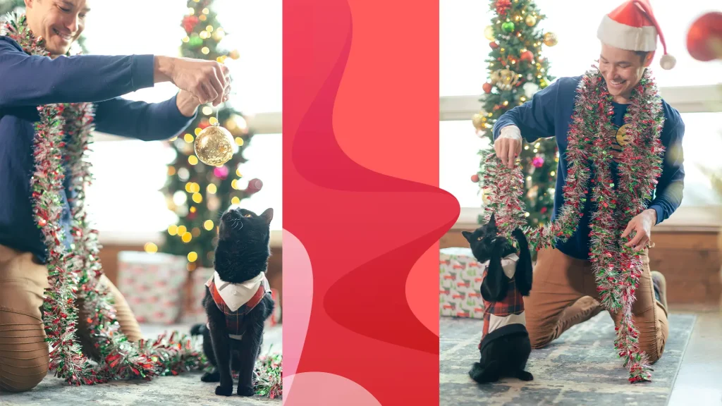 The black cat, Simon “backpackingkitty”, wears a plaid sweater vest and plays with tinsel hanging off his owner JJ Yosh, in front of a Christmas tree.