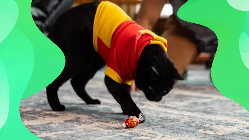 Simon Backpackingkitty – a black cat in an orange and yellow shirt – stands in front of a red chocolate candy, pawing at it.